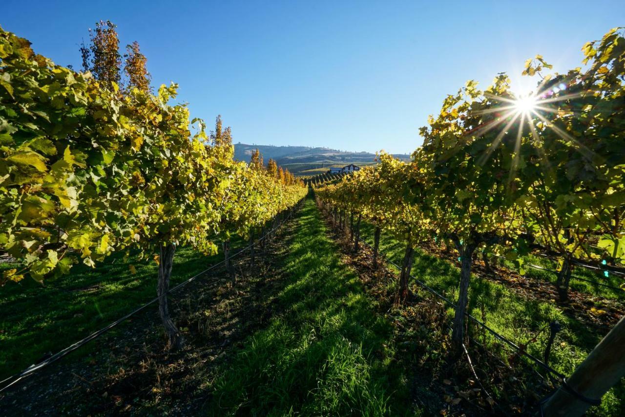 The Vineyards Lodge Chelan Exterior foto